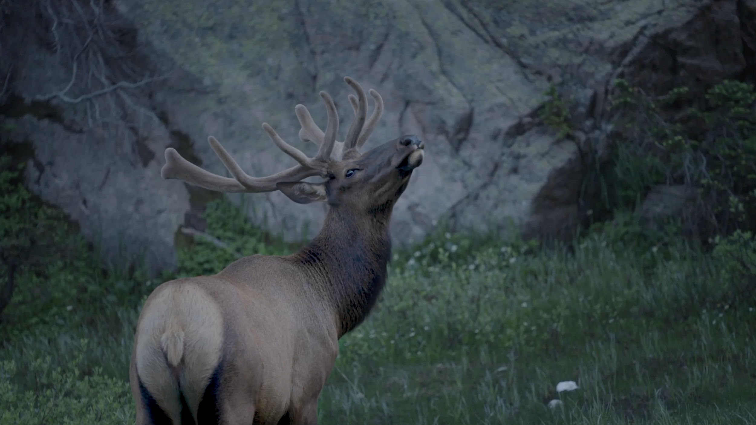 Rocky Mountain Conservancy brand story film - nonprofit video production