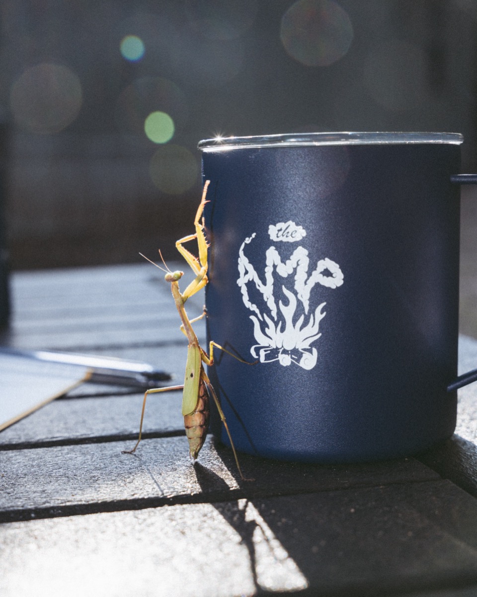 The Amp enamel camp mug, St. Augustine Amphitheatre product photography