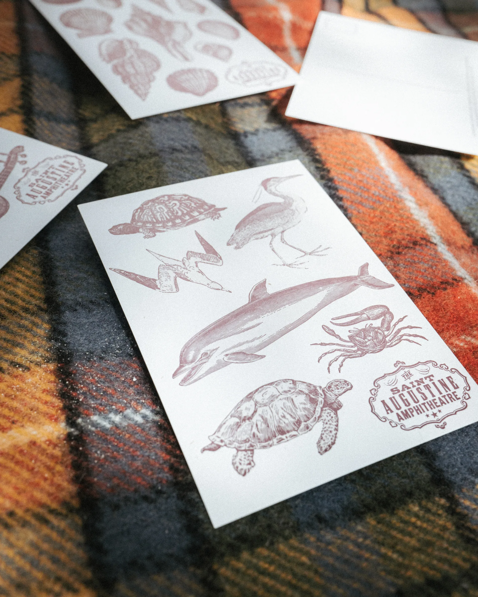 St. Augustine Amphitheatre sticker and postcard set, product photography