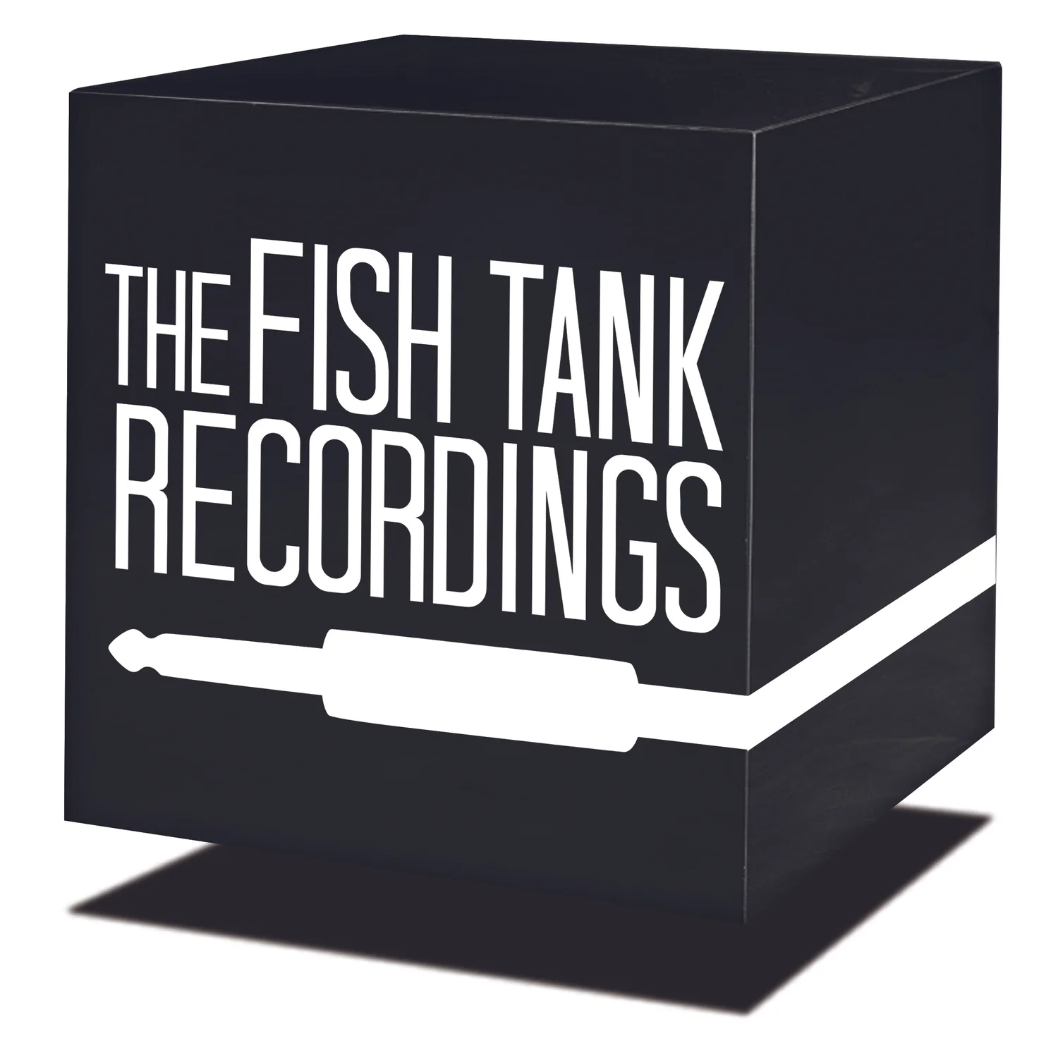 Fish Tank Recording Studio St. Augustine - video production client